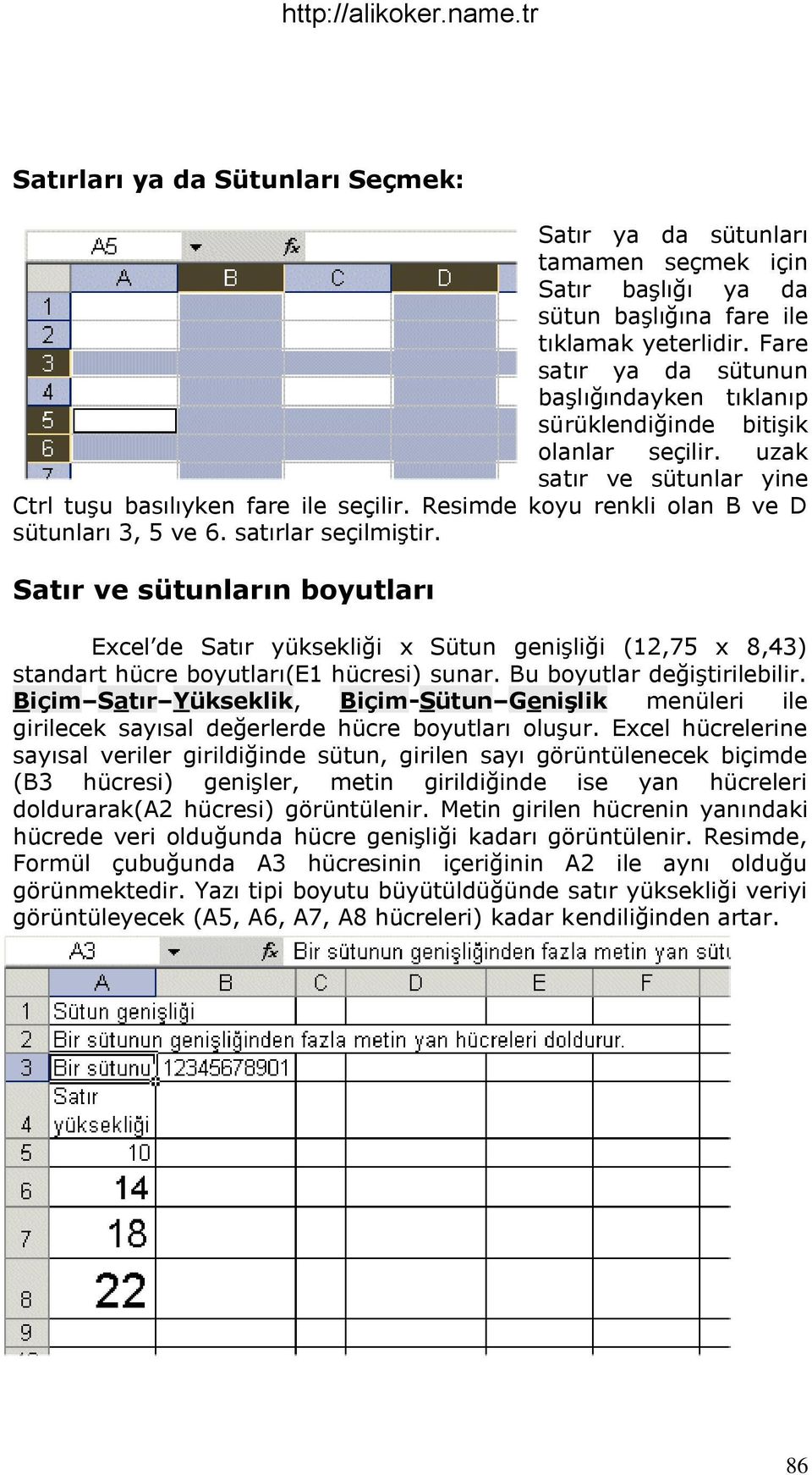 Resimde koyu renkli olan B ve D sütunları 3, 5 ve 6. satırlar seçilmiģtir.