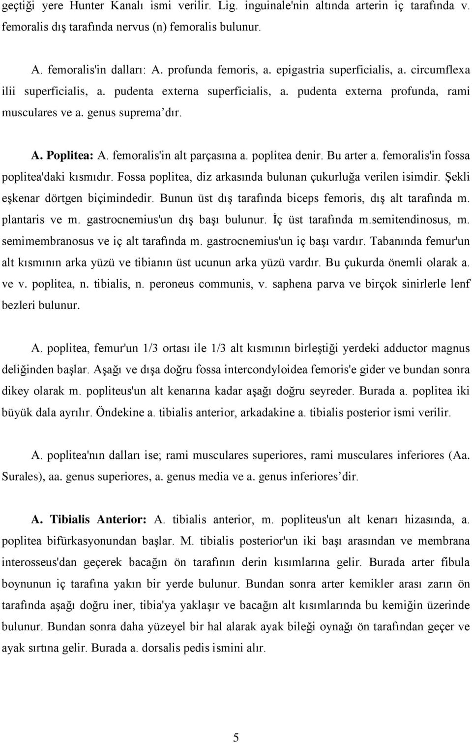 femoralis'in alt parçasına a. poplitea denir. Bu arter a. femoralis'in fossa poplitea'daki kısmıdır. Fossa poplitea, diz arkasında bulunan çukurluğa verilen isimdir.