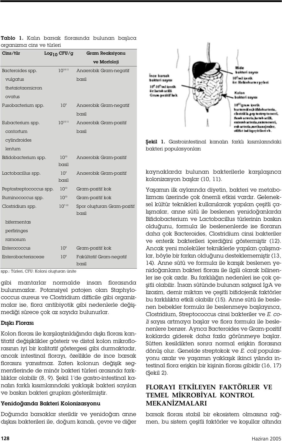 0 0- Anaerobik Gram-pozitif contortum basil cylindroides lentum Bifidobacterium spp. 0 0 Anaerobik Gram-pozitif basil Lactobacillus spp. 0 9 Anaerobik Gram-pozitif basil Peptostreptococcus spp.