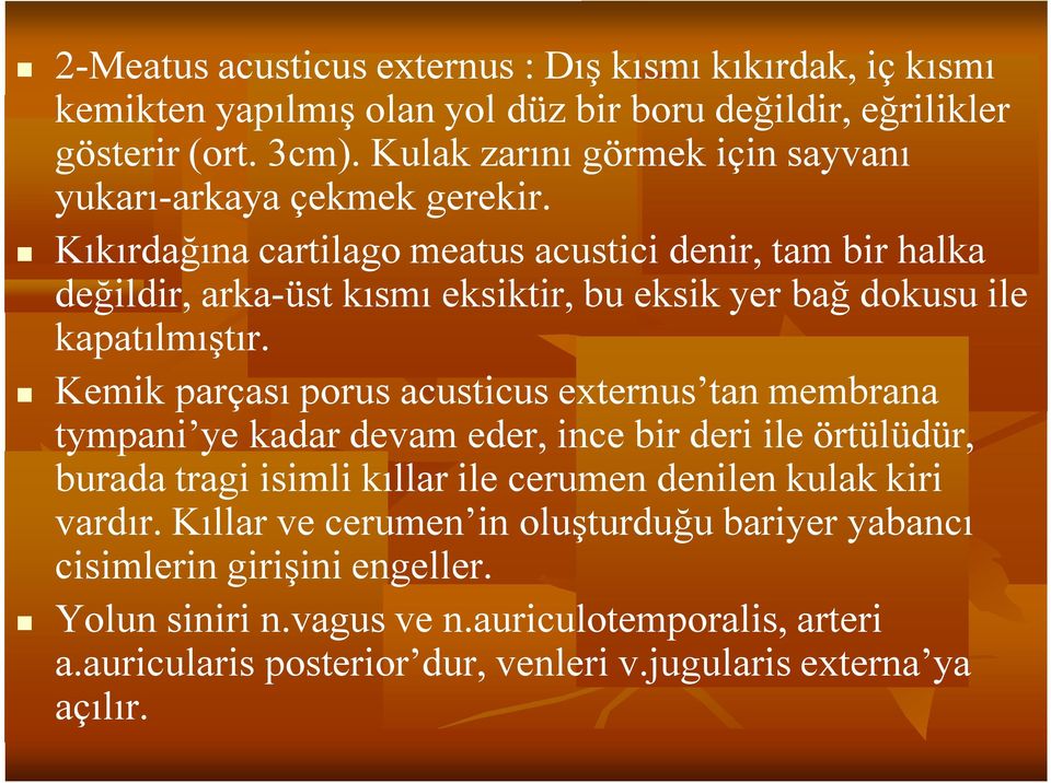 Kıkırdağına cartilago meatus acustici denir, tam bir halka değildir, arka-üst kısmı eksiktir, bu eksik yer bağ dokusu ile kapatılmıştır.