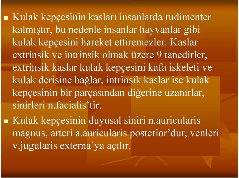 Kaslar extrinsik ve intrinsik olmak üzere 9 tanedirler, extrinsik kaslar kulak kepçesini kafa iskeleti ve kulak derisine