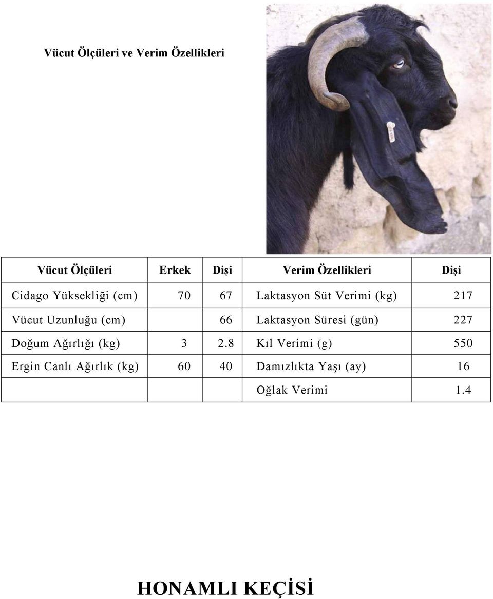 (cm) 66 Laktasyon Süresi (gün) 227 Doğum Ağırlığı (kg) 3 2.