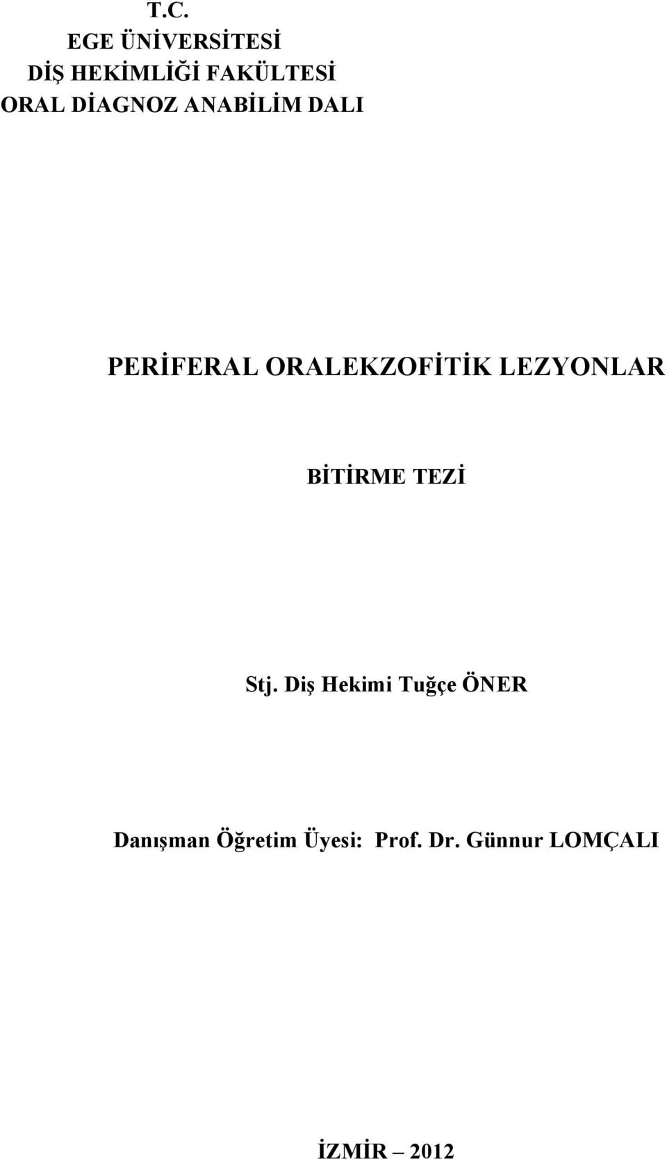 LEZYONLAR BİTİRME TEZİ Stj.