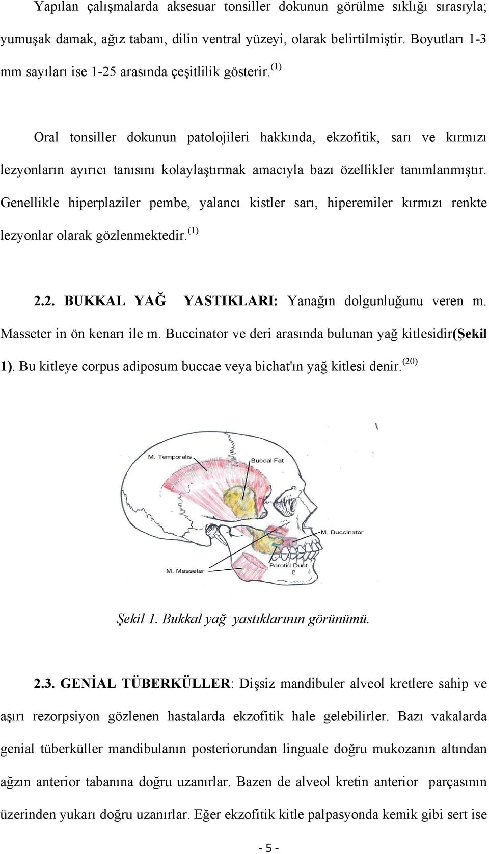 (1) Oral tonsiller dokunun patolojileri hakkında, ekzofitik, sarı ve kırmızı lezyonların ayırıcı tanısını kolaylaştırmak amacıyla bazı özellikler tanımlanmıştır.