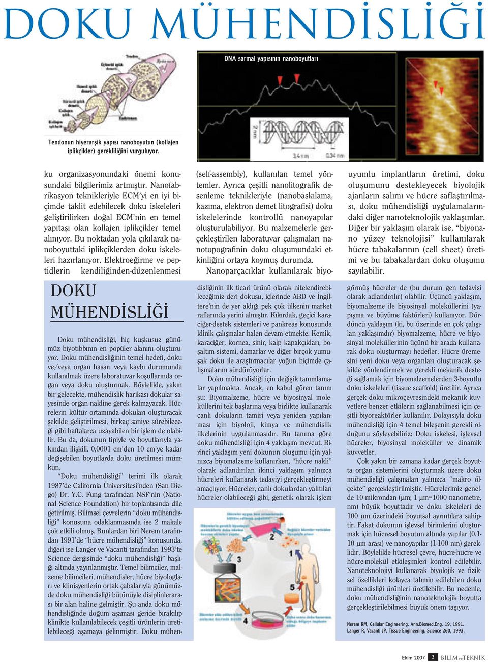 Nanofabrikasyon teknikleriyle ECM yi en iyi biçimde taklit edebilecek doku iskeleleri gelifltirilirken do al ECM nin en temel yap tafl olan kollajen iplikçikler temel al n yor.