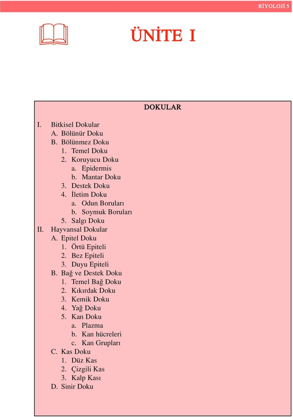 Epitel Doku 1. Örtü Epiteli 2. Bez Epiteli 3. Duyu Epiteli B. Ba ve Destek Doku 1. Temel Ba Doku 2. K k rdak Doku 3.