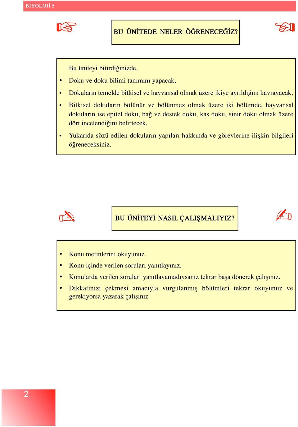 olmak üzere iki bölümde, hayvansal dokular n ise epitel doku, ba ve destek doku, kas doku, sinir doku olmak üzere dört incelendi ini belirtecek, Yukar da sözü edilen dokular n yap lar