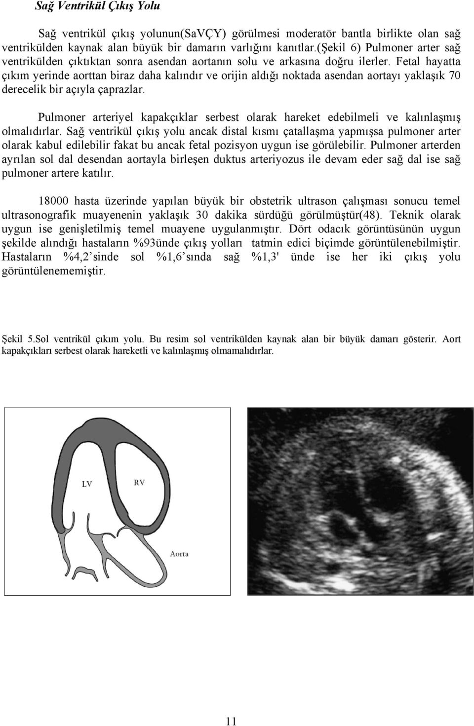 Fetal hayatta çıkım yerinde aorttan biraz daha kalındır ve orijin aldığı noktada asendan aortayı yaklaşık 70 derecelik bir açıyla çaprazlar.