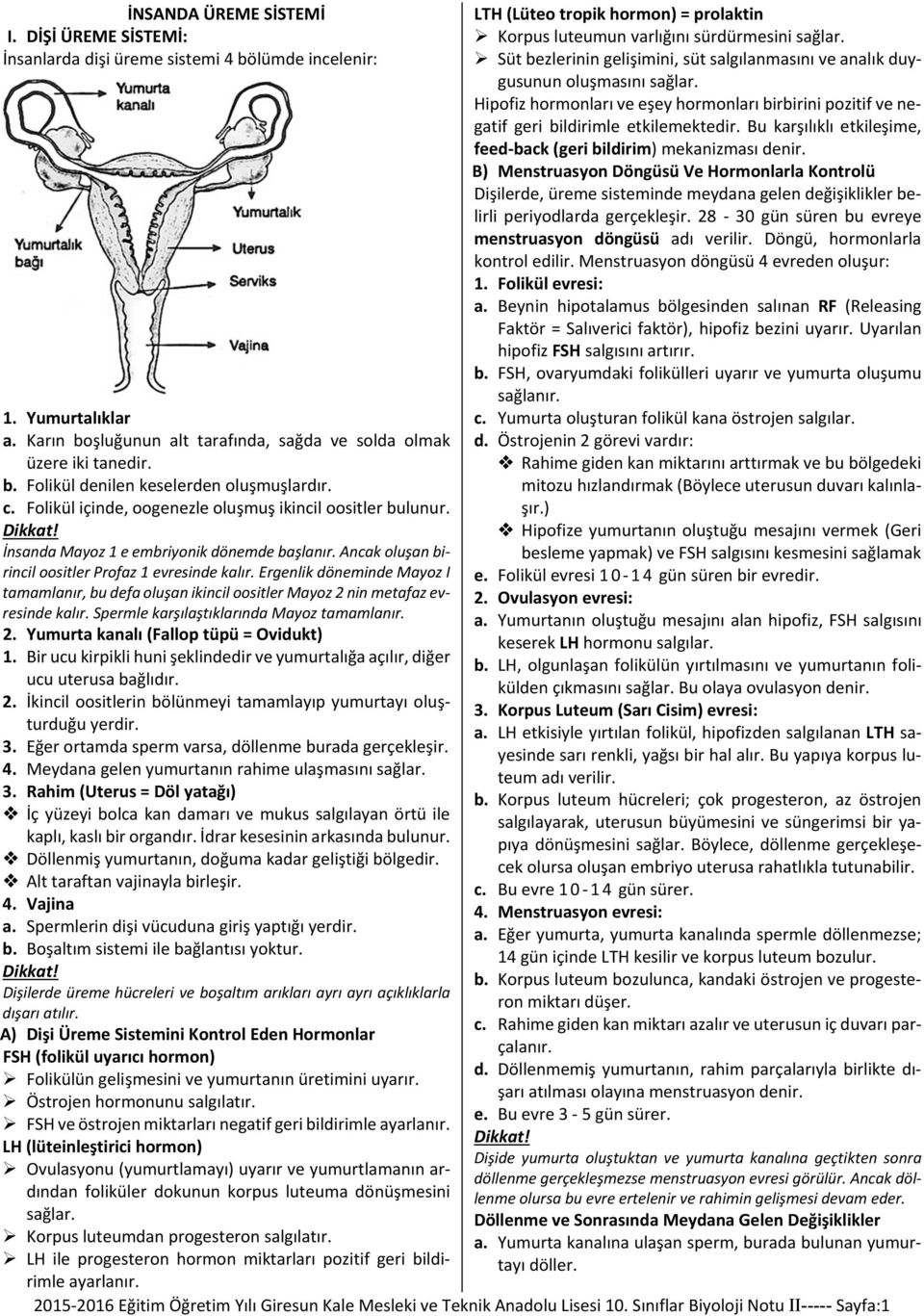 Bu karşılıklı etkileşime, feed-back (geri bildirim) mekanizması denir.