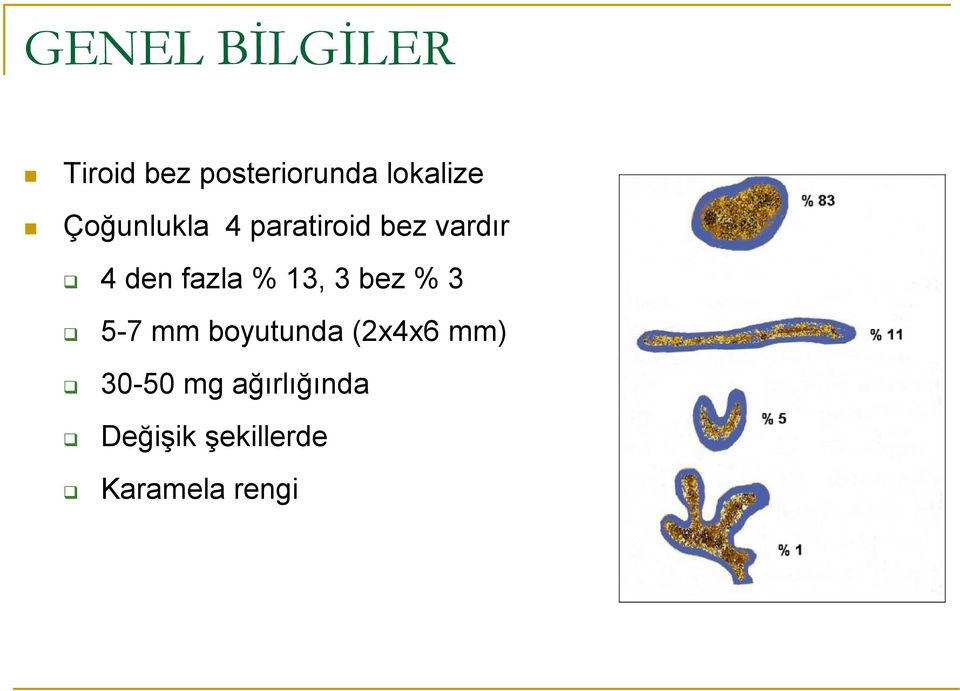 13, 3 bez % 3 5-7 mm boyutunda (2x4x6 mm) 30-50