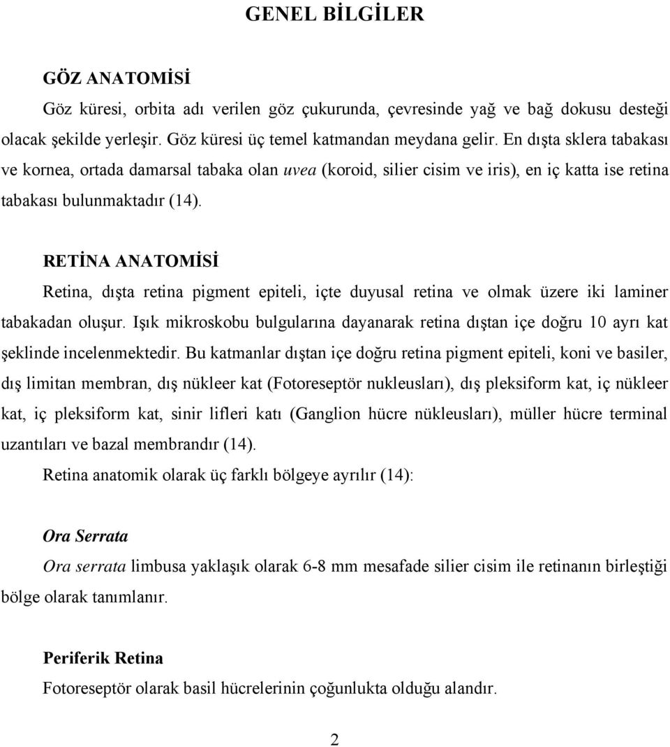 RETİNA ANATOMİSİ Retina, dışta retina pigment epiteli, içte duyusal retina ve olmak üzere iki laminer tabakadan oluşur.