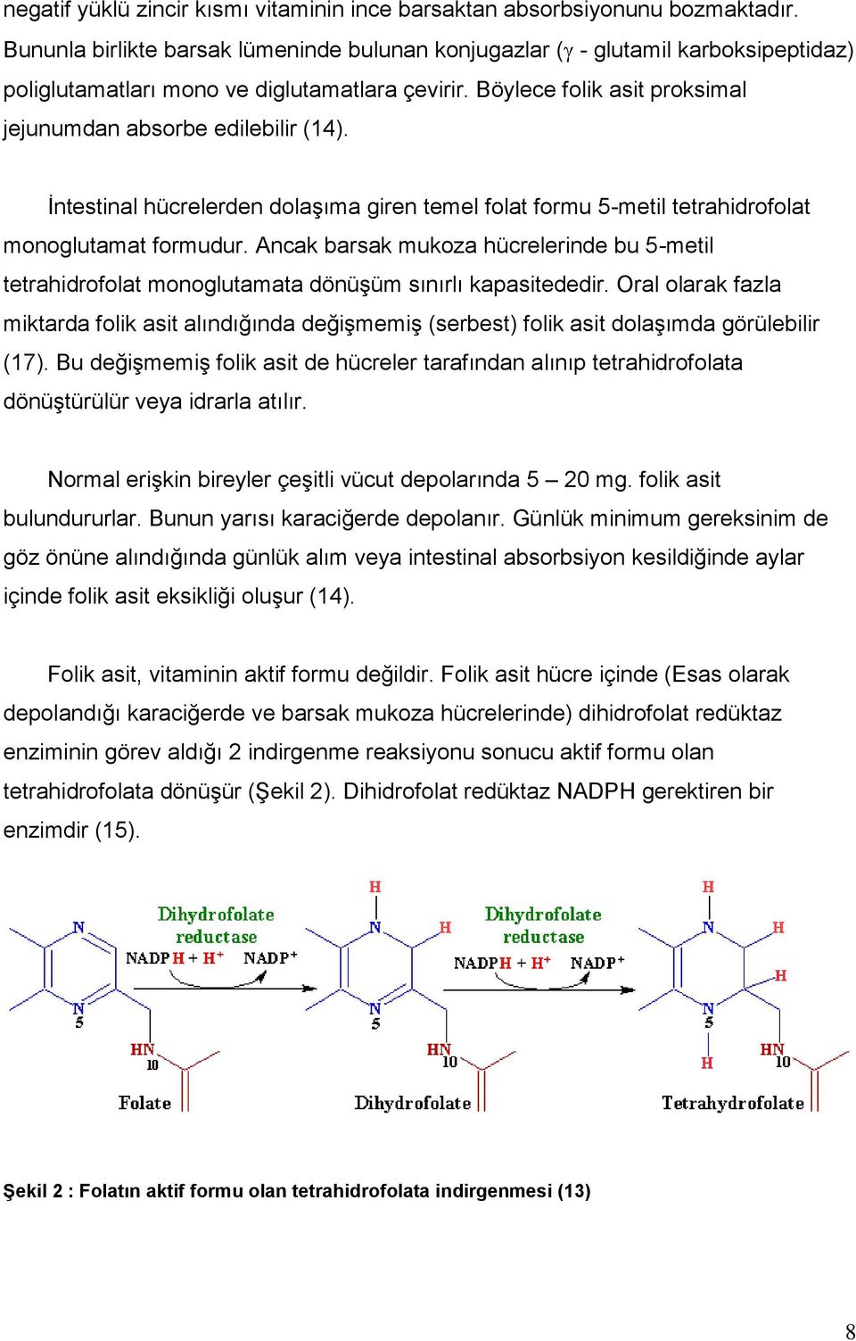 Ġntestinal hücrelerden dolaģıma giren temel folat formu 5-metil tetrahidrofolat monoglutamat formudur.