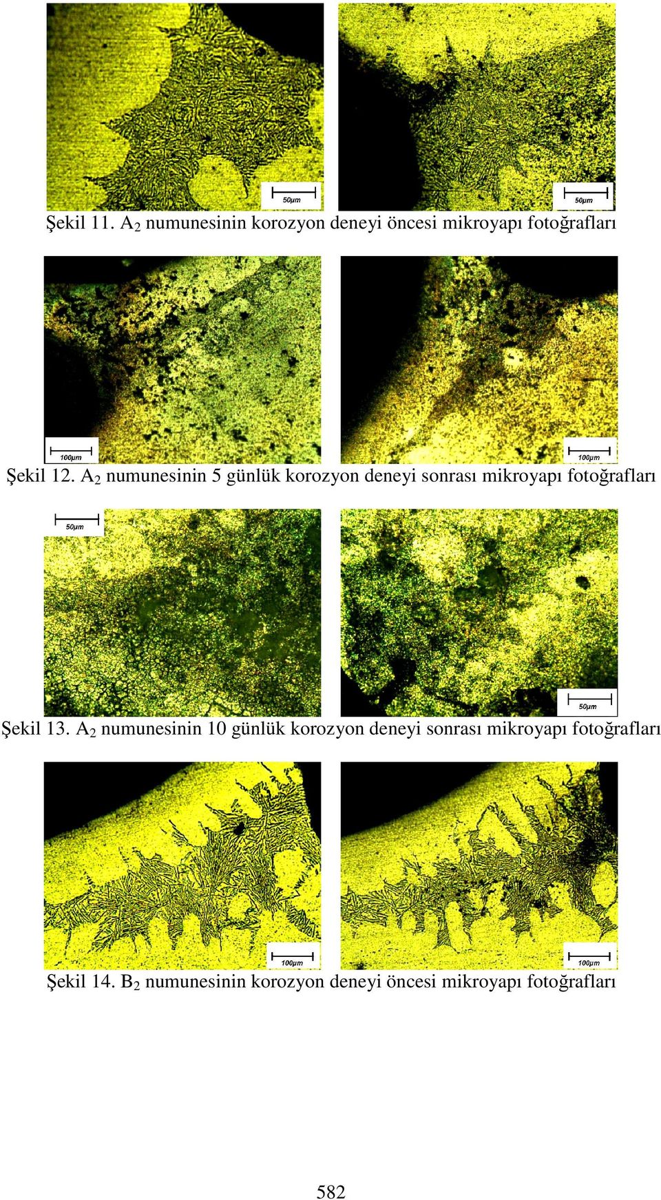 A2 numunesinin 5 günlük korozyon deneyi sonrası mikroyapı fotoğrafları Şekil