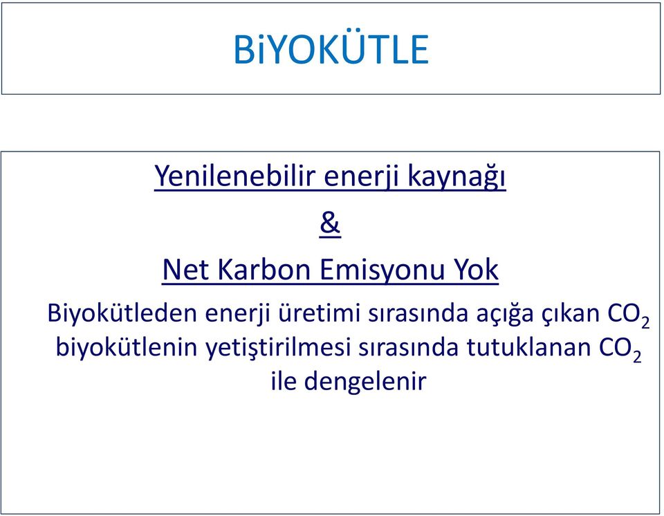 üretimi sırasında açığa çıkan CO 2