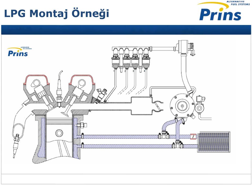 Örneği