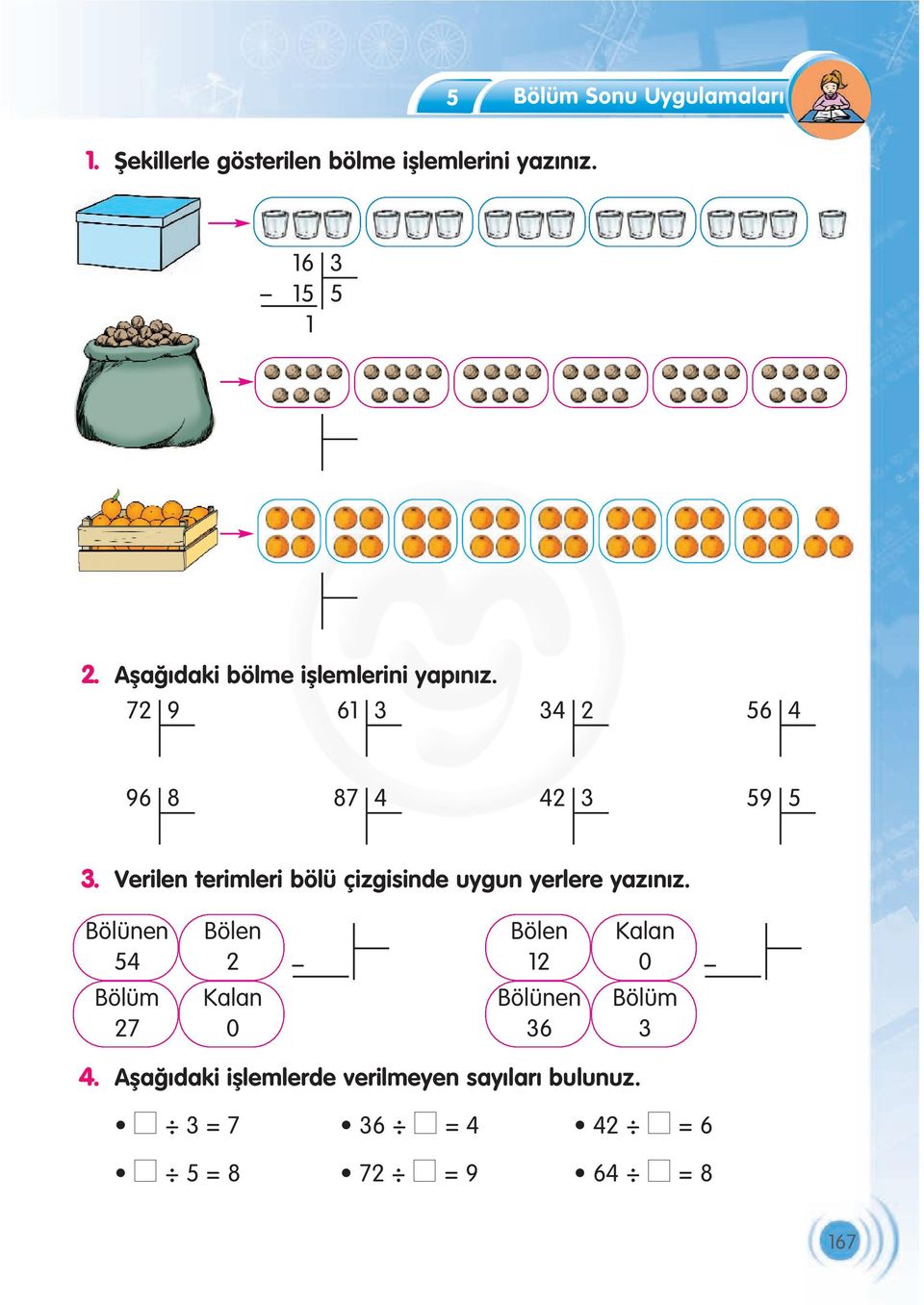 Verilen terimleri bölü çizgisinde uygun yerlere yaz n z.