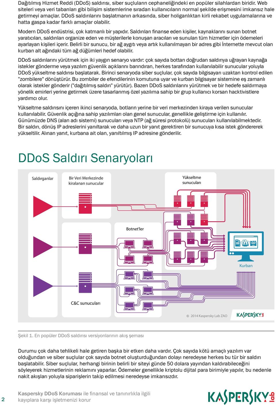 DDoS saldırılarını başlatmanın arkasında, siber holiganlıktan kirli rekabet uygulamalarına ve hatta gaspa kadar farklı amaçlar olabilir. Modern DDoS endüstrisi, çok katmanlı bir yapıdır.