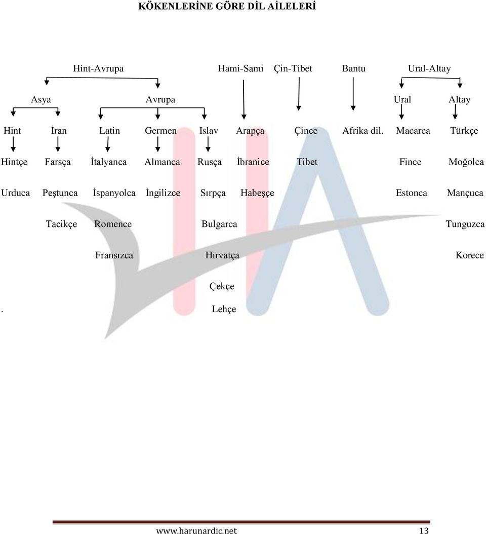 Macarca Türkçe Hintçe Farsça İtalyanca Almanca Rusça İbranice Tibet Fince Moğolca Urduca Peştunca