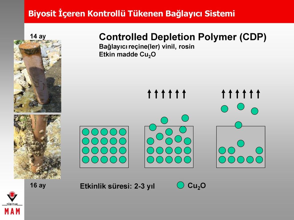 (DP) ağlayıcı reçine(ler) vinil, rosin