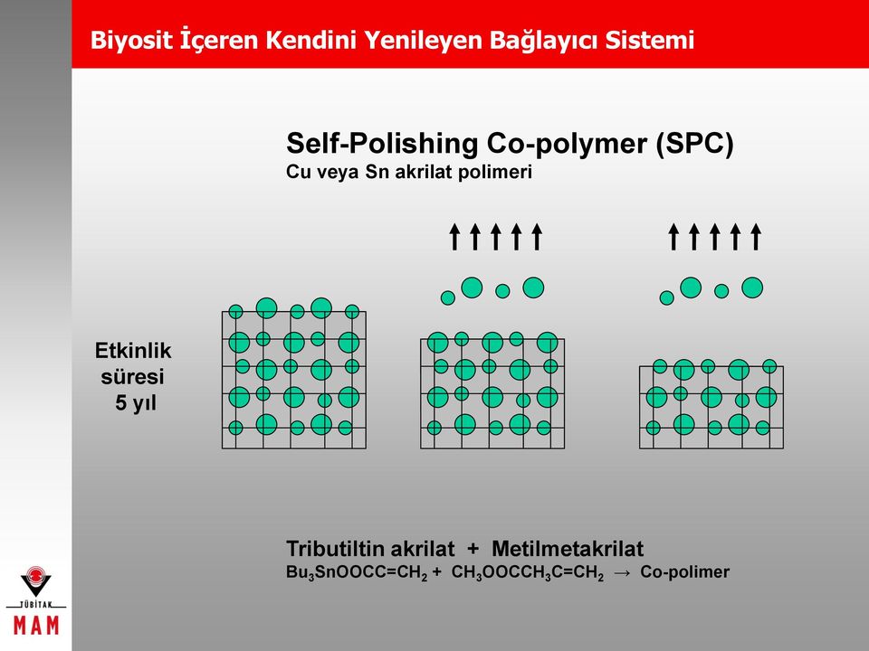 polimeri Etkinlik süresi 5 yıl Tributiltin