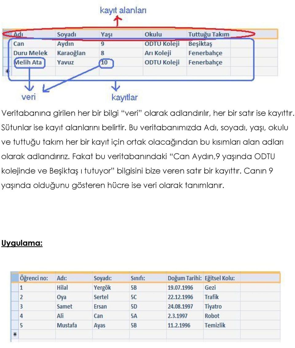 Bu veritabanımızda Adı, soyadı, yaşı, okulu ve tuttuğu takım her bir kayıt için ortak olacağından bu kısımları alan