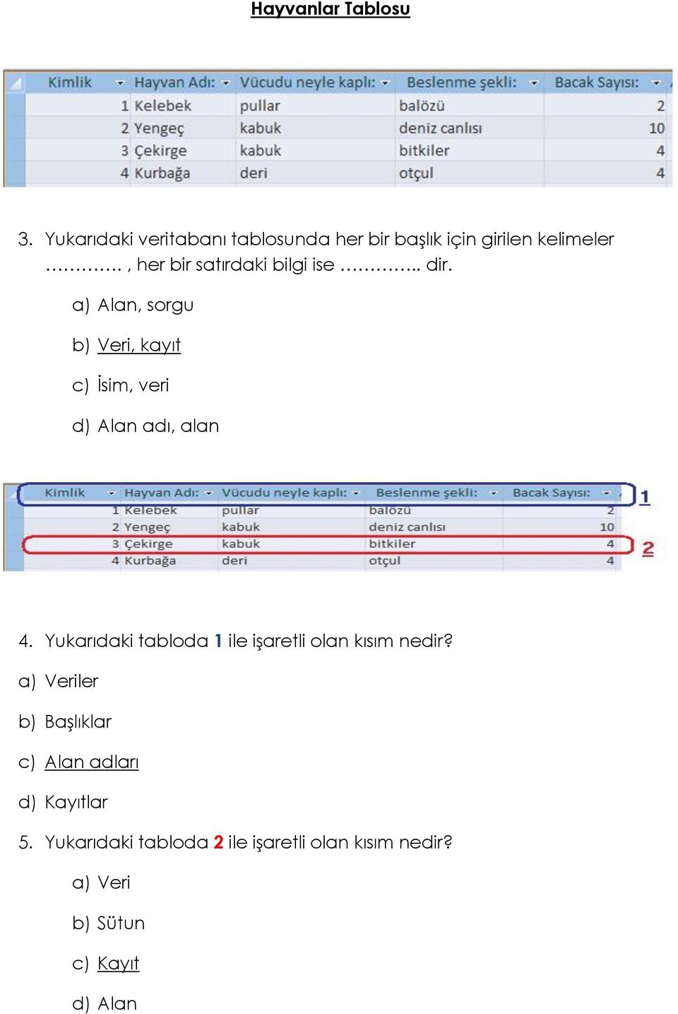 a) Alan, sorgu b) Veri, kayıt c) İsim, veri d) Alan adı, alan 4.