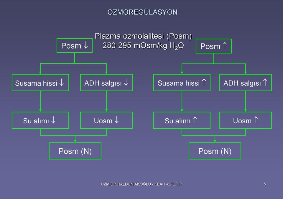 Susama hissi ADH salgısı Su alımı Uosm Su alımı