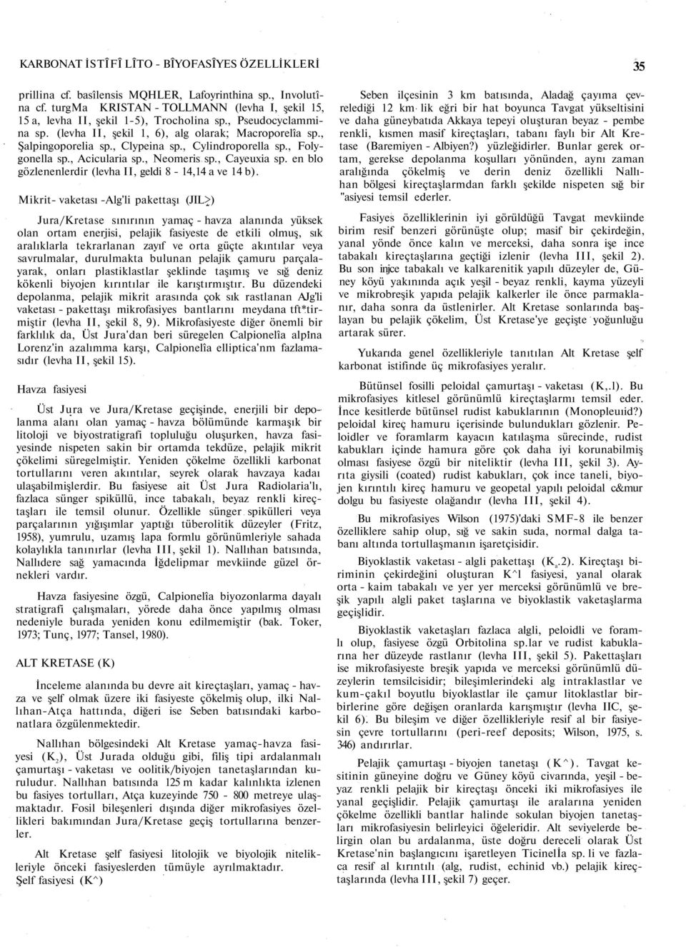 , Cylindroporella sp., Folygonella sp., Acicularia sp., Neomeris sp., Cayeuxia sp. en blo gözlenenlerdir (levha II, geldi 8-14,14 a ve 14 b).