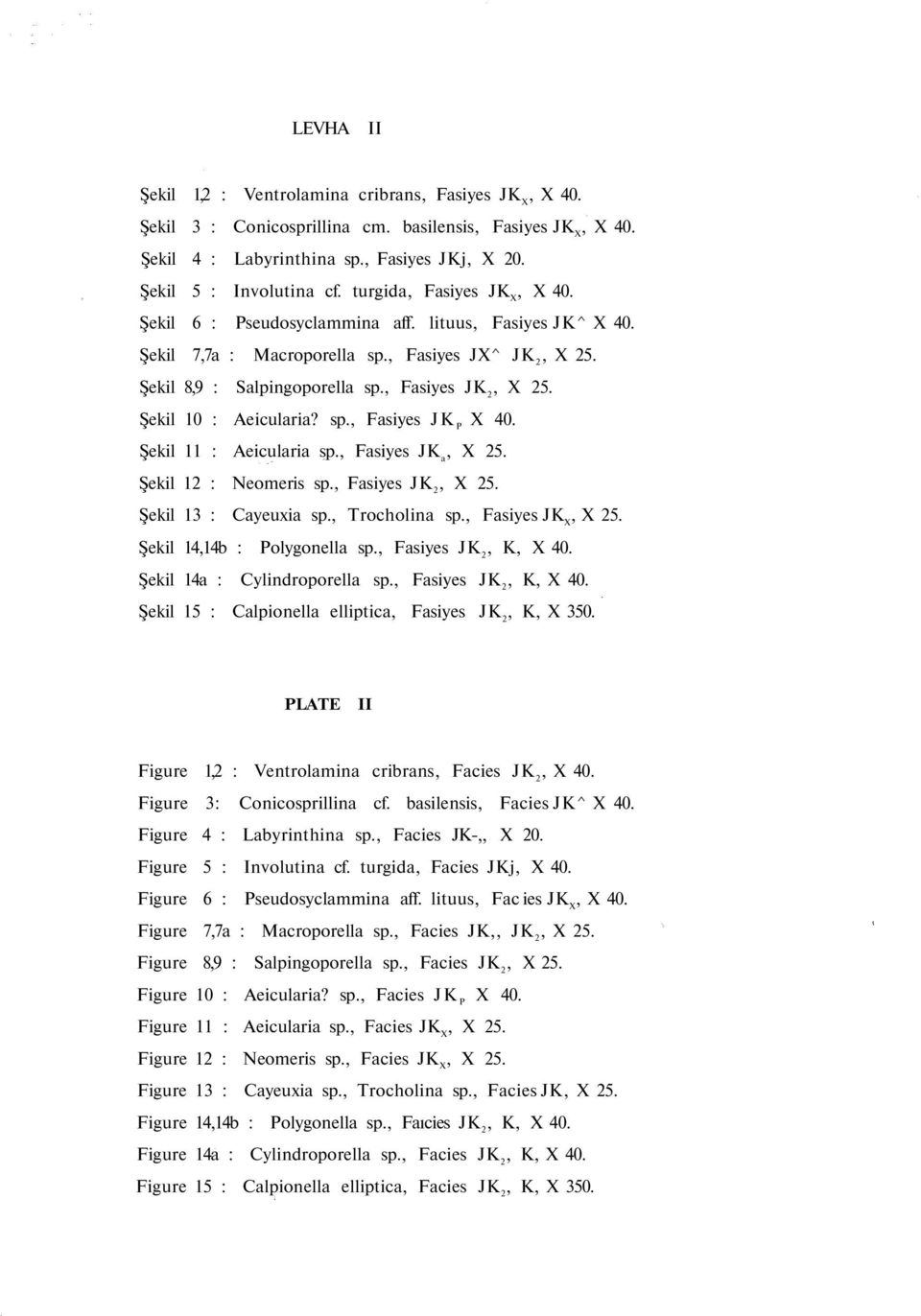 Şekil 11 : Aeicularia sp., Fasiyes JK a Şekil 12 : Neomeris sp., Fasiyes JK 2 Şekil 13 : Cayeuxia sp., Trocholina sp., Fasiyes JK X Şekil 14,14b : Polygonella sp.