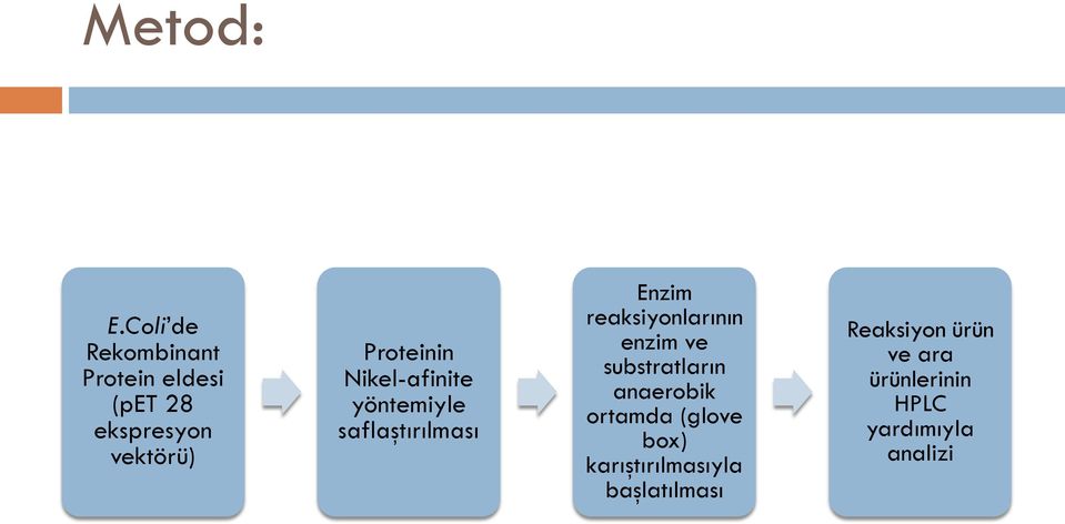 Proteinin Nikel-afinite yöntemiyle saflaştırılması Enzim