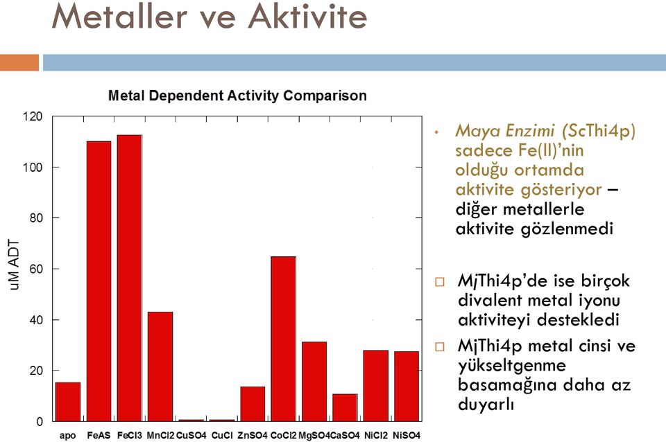 gözlenmedi MjThi4p de ise birçok divalent metal iyonu aktiviteyi