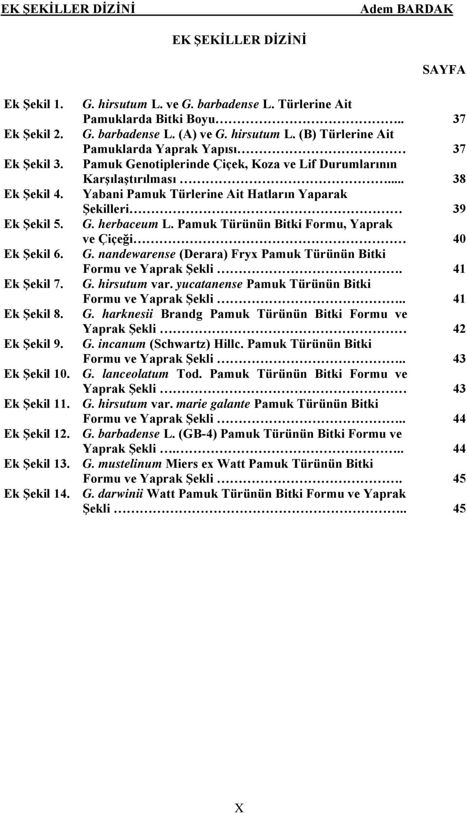 Pamuk Türünün Bitki Formu, Yaprak ve Çiçeği 40 Ek Şekil 6. G. nandewarense (Derara) Fryx Pamuk Türünün Bitki Formu ve Yaprak Şekli. 41 Ek Şekil 7. G. hirsutum var.