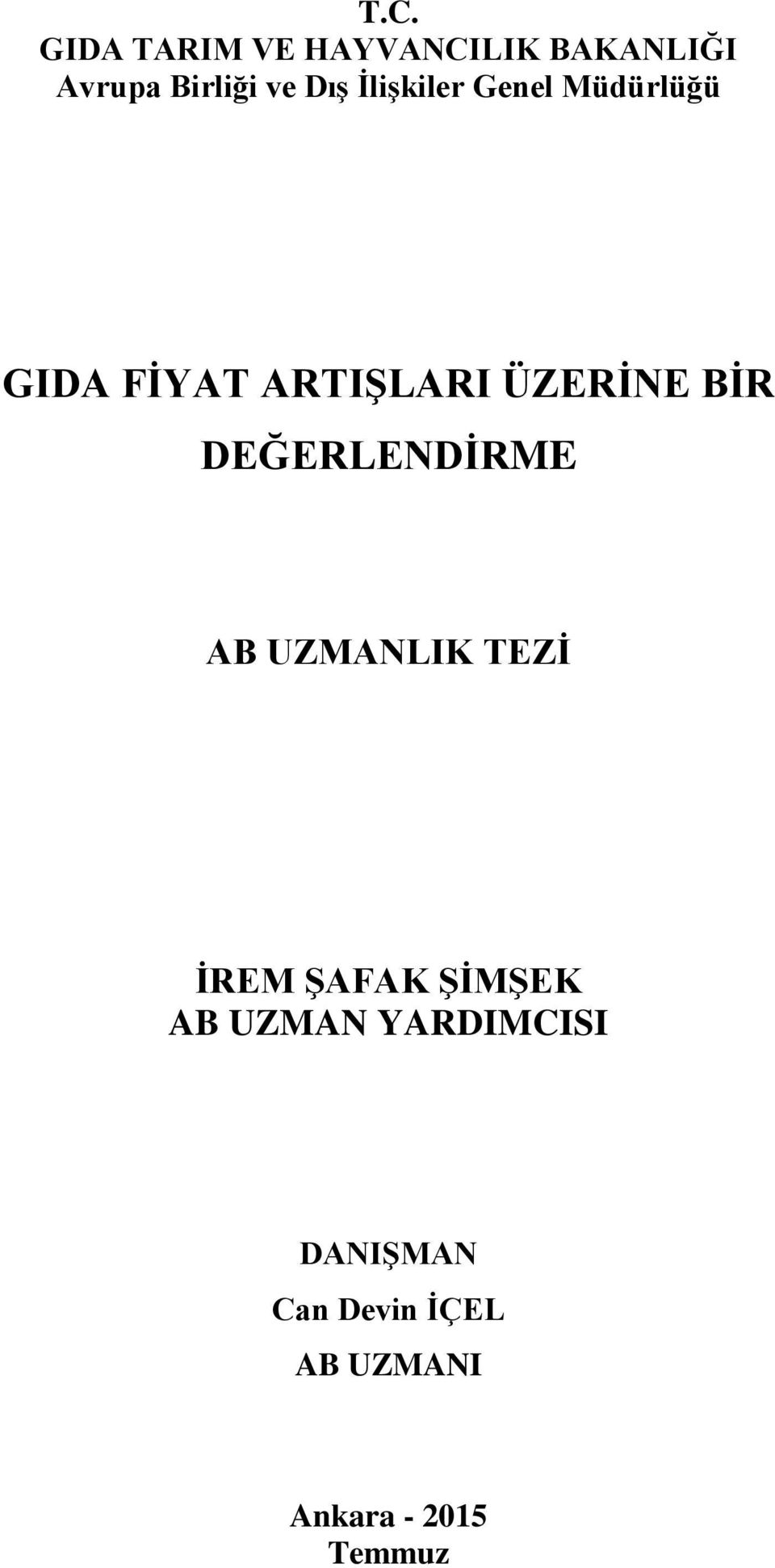 BİR DEĞERLENDİRME AB UZMANLIK TEZİ İREM ŞAFAK ŞİMŞEK AB UZMAN