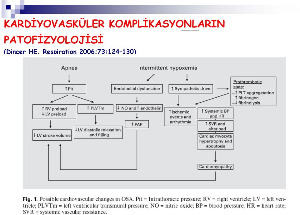 Respiration 2006;73:124 130) H.