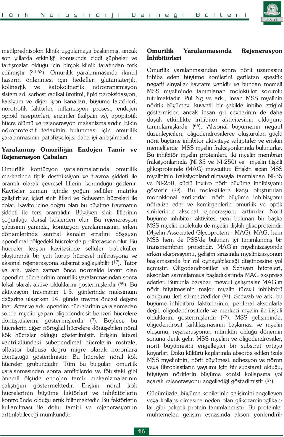 diğer iyon kanalları, büyüme faktörleri, nörotrofik faktörler, inflamasyon prosesi, endojen opioid reseptörleri, enzimler (kalpain vs), apopitotik hücre ölümü ve rejenerasyon mekanizmalarıdır.