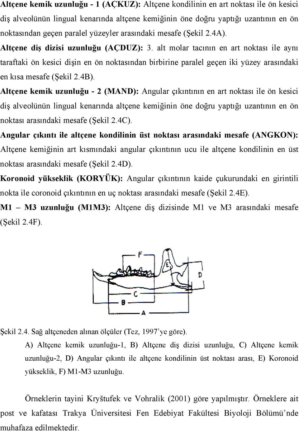 alt molar tacının en art noktası ile aynı taraftaki ön kesici dişin en ön noktasından birbirine paralel geçen iki yüzey arasındaki en kısa mesafe (Şekil 2.4B).