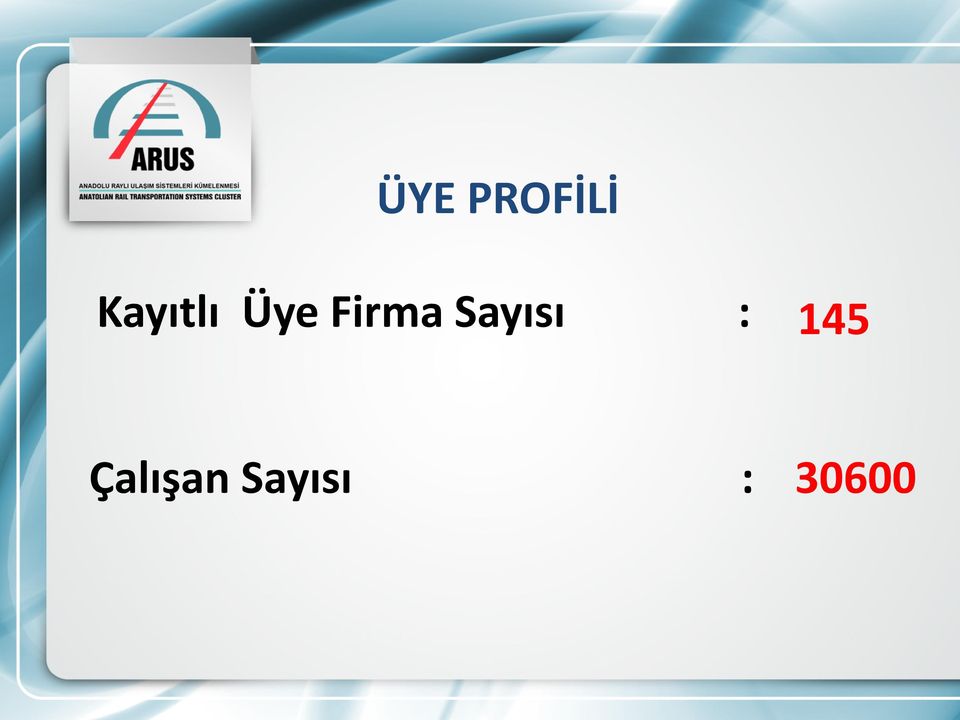 Firma Sayısı :