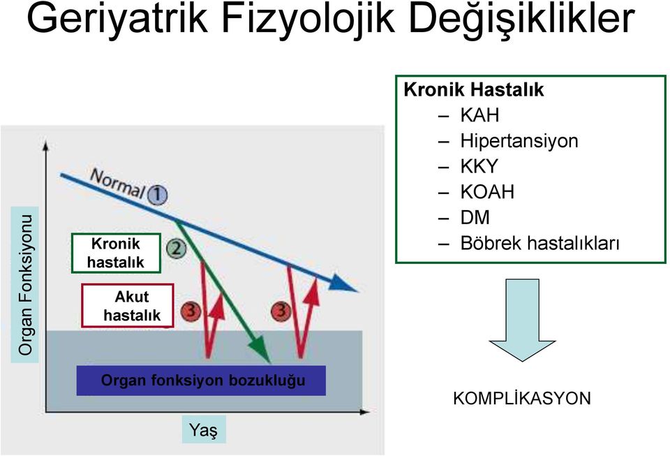 KAH Hipertansiyon KKY KOAH DM Böbrek