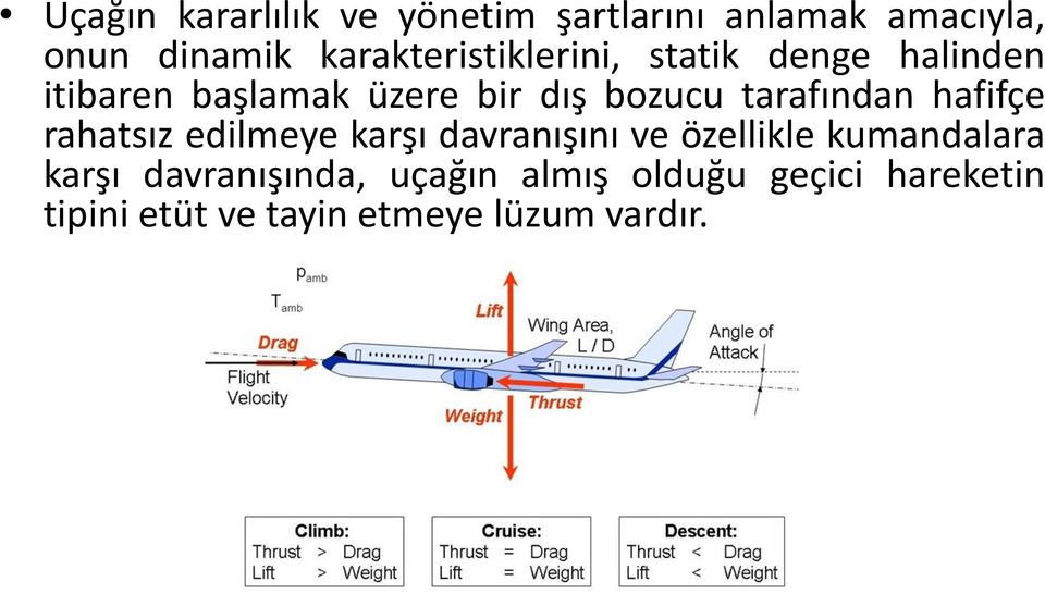 tarafından hafifçe rahatsız edilmeye karşı davranışını ve özellikle kumandalara