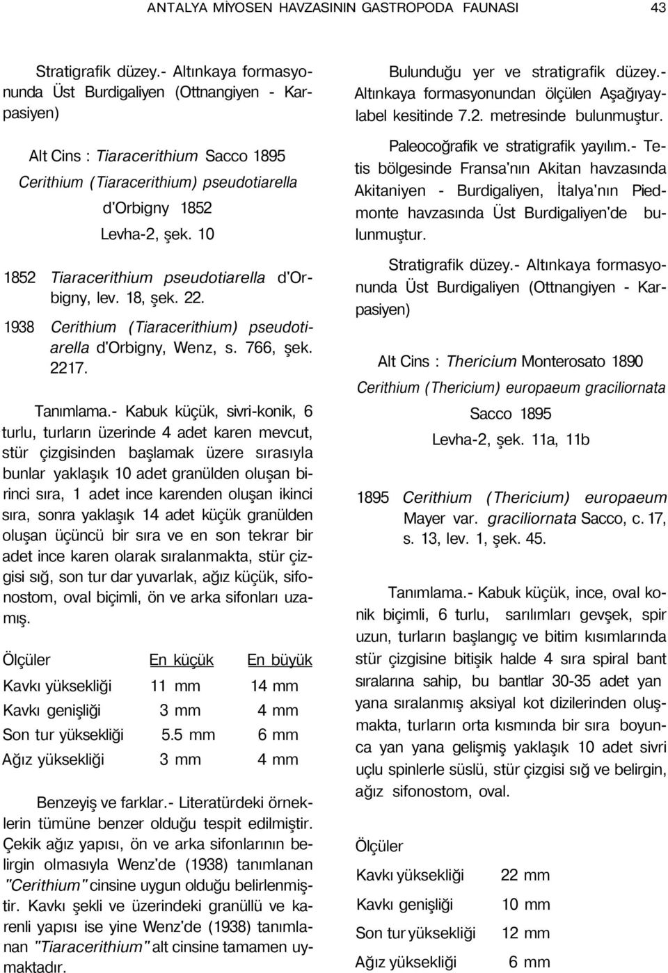 10 1852 Tiaracerithium pseudotiarella d'orbigny, lev. 18, şek. 22. 1938 Cerithium (Tiaracerithium) pseudotiarella d'orbigny, Wenz, s. 766, şek. 2217. Tanımlama.