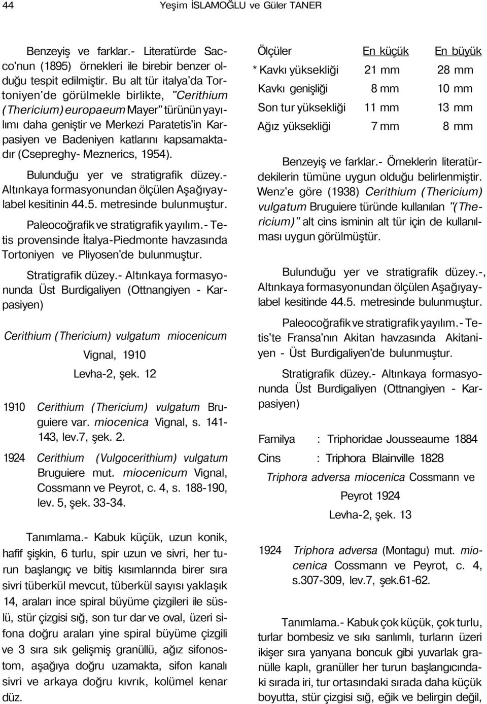 (Csepreghy- Meznerics, 1954). Altınkaya formasyonundan ölçülen Aşağıyaylabel kesitinin 44.5. metresinde bulunmuştur.