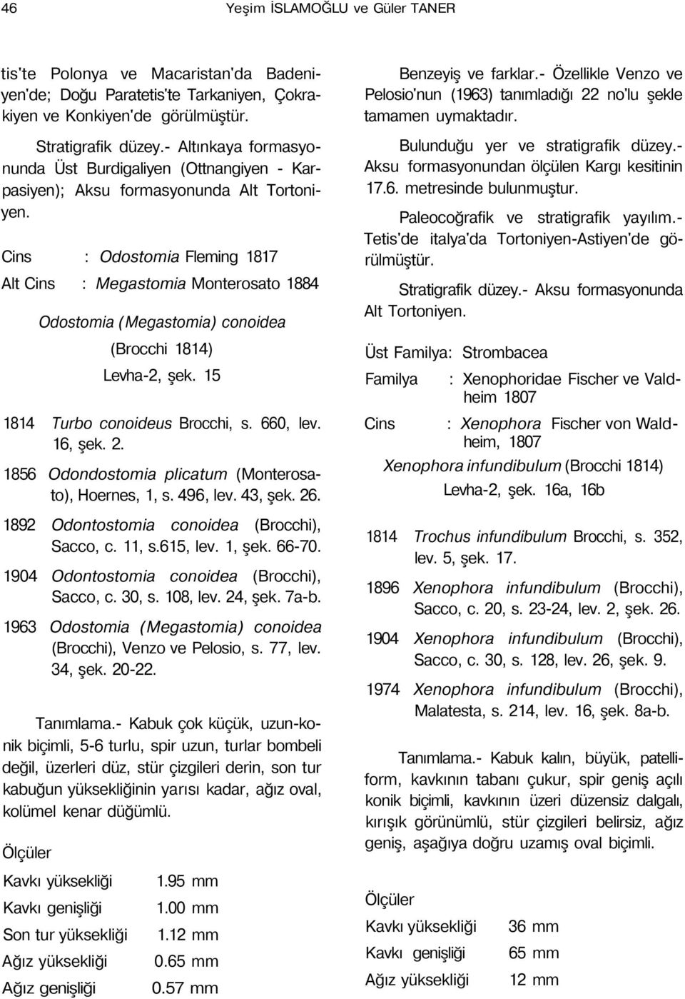 1814) Levha-2, şek. 15 1814 Turbo conoideus Brocchi, s. 660, lev. 16, şek. 2. 1856 Odondostomia plicatum (Monterosato), Hoernes, 1, s. 496, lev. 43, şek. 26.