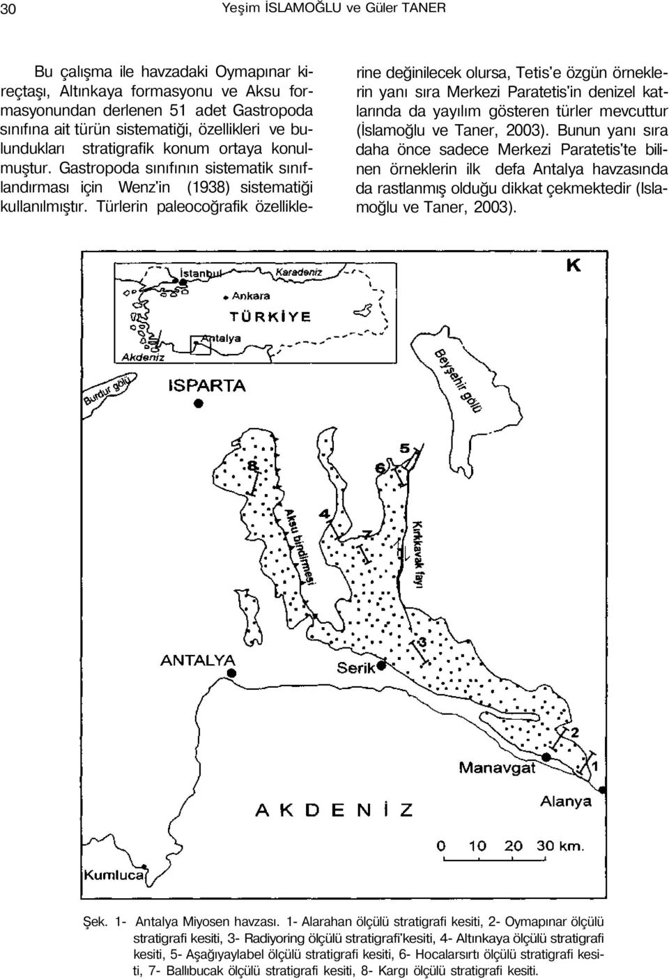 Türlerin paleocoğrafik özelliklerine değinilecek olursa, Tetis'e özgün örneklerin yanı sıra Merkezi Paratetis'in denizel katlarında da yayılım gösteren türler mevcuttur (İslamoğlu ve Taner, 2003).