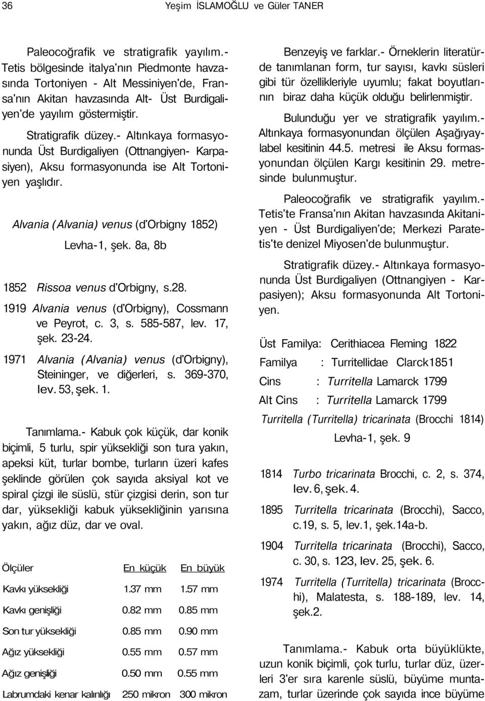 8a, 8b 1852 Rissoa venus d'orbigny, s.28. 1919 Alvania venus (d'orbigny), Cossmann ve Peyrot, c. 3, s. 585-587, lev. 17, şek. 23-24.