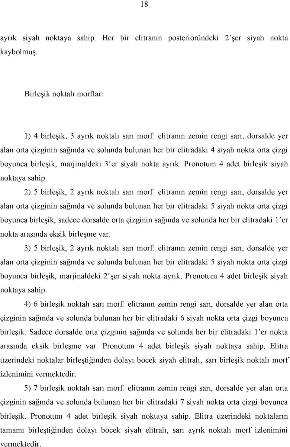 boyunca birleşik, marjinaldeki 3 er siyah nokta ayrık. Pronotum 4 adet birleşik siyah noktaya sahip.