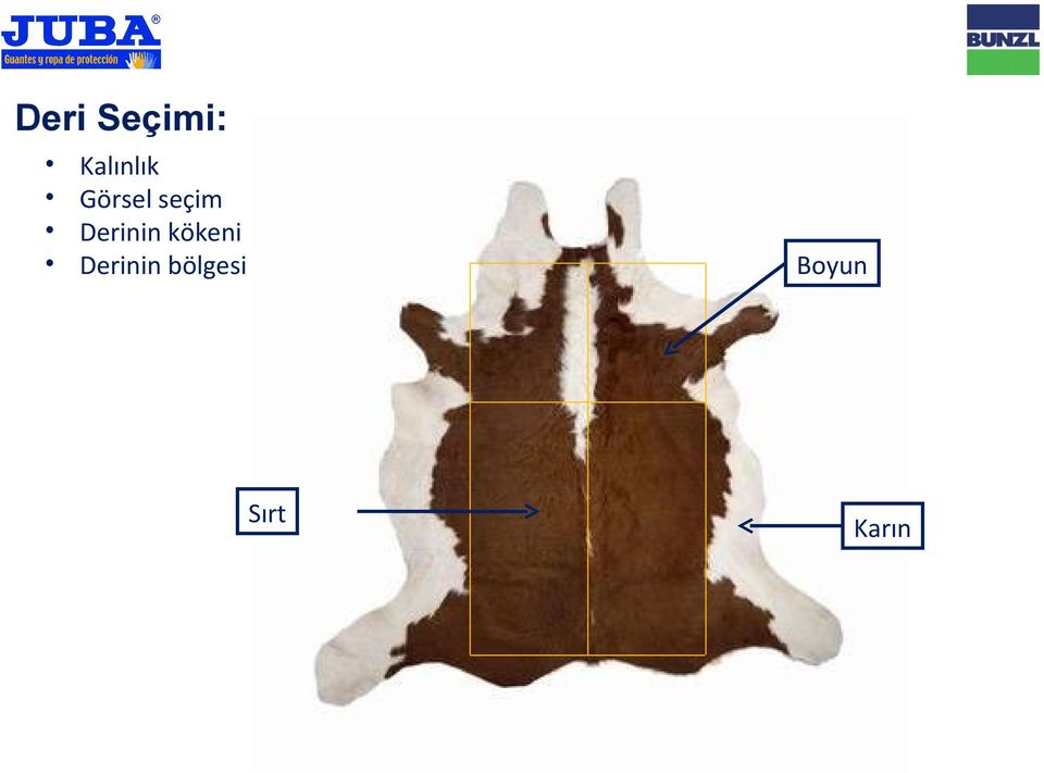 seçim Derinin kökeni