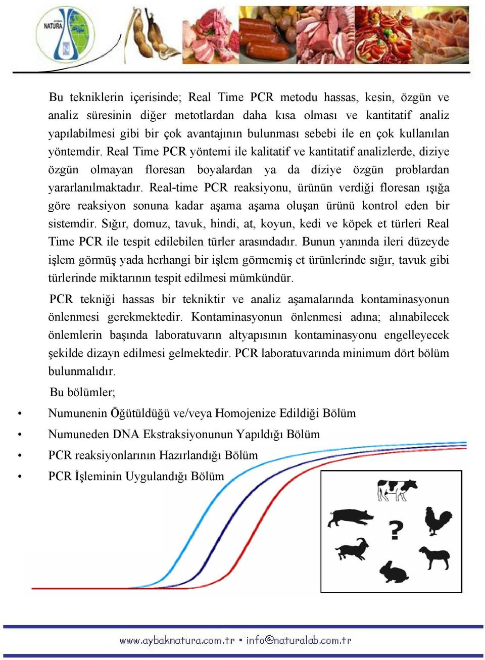 Real-time PCR reaksiyonu, ürünün verdiği floresan ışığa göre reaksiyon sonuna kadar aşama aşama oluşan ürünü kontrol eden bir sistemdir.