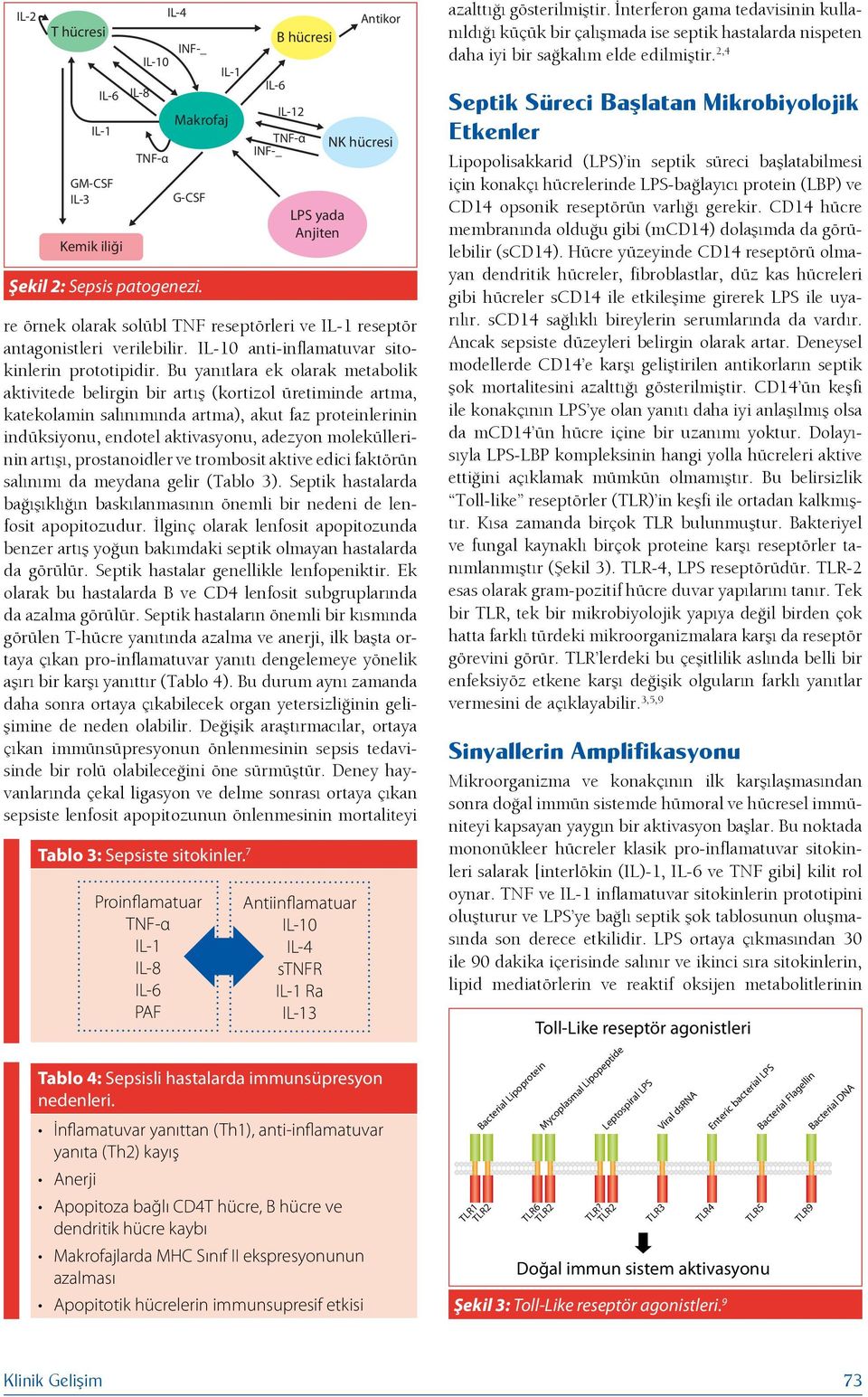 Bu yanıtlara ek olarak metabolik aktivitede belirgin bir artış (kortizol üretiminde artma, katekolamin salınımında artma), akut faz proteinlerinin indüksiyonu, endotel aktivasyonu, adezyon