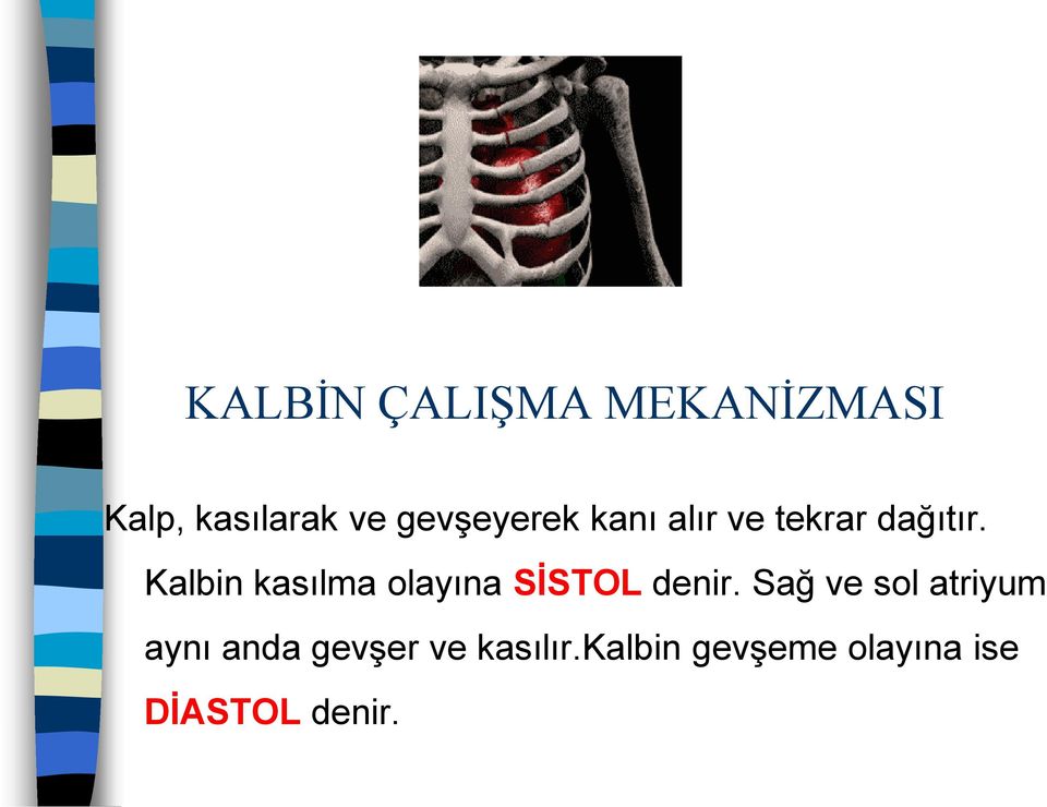 Kalbin kasılma olayına SİSTOL denir.