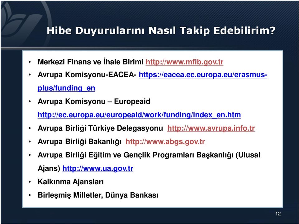 htm Avrupa Birliği Türkiye Delegasyonu http://www.avrupa.info.tr Avrupa Birliği Bakanlığı http://www.abgs.gov.